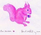 Red Squirrel